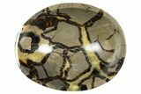 Eye-Eatching, Polished Septarian Bowl - Madagascar #342681-1